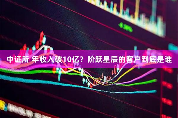 中证所 年收入破10亿？阶跃星辰的客户到底是谁